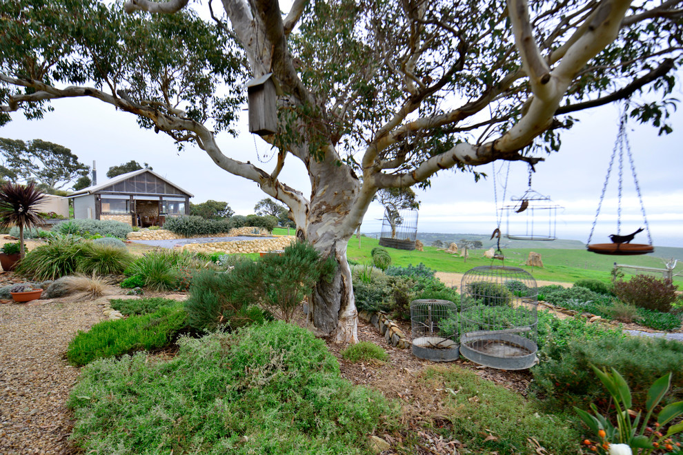 Design ideas for an expansive and australian native country backyard garden in Adelaide.