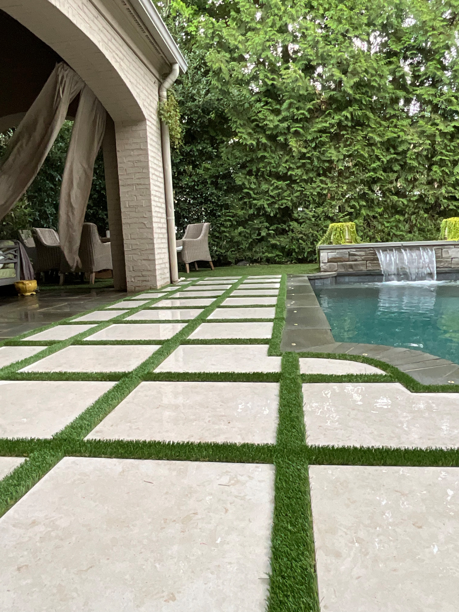 Back Yard Update