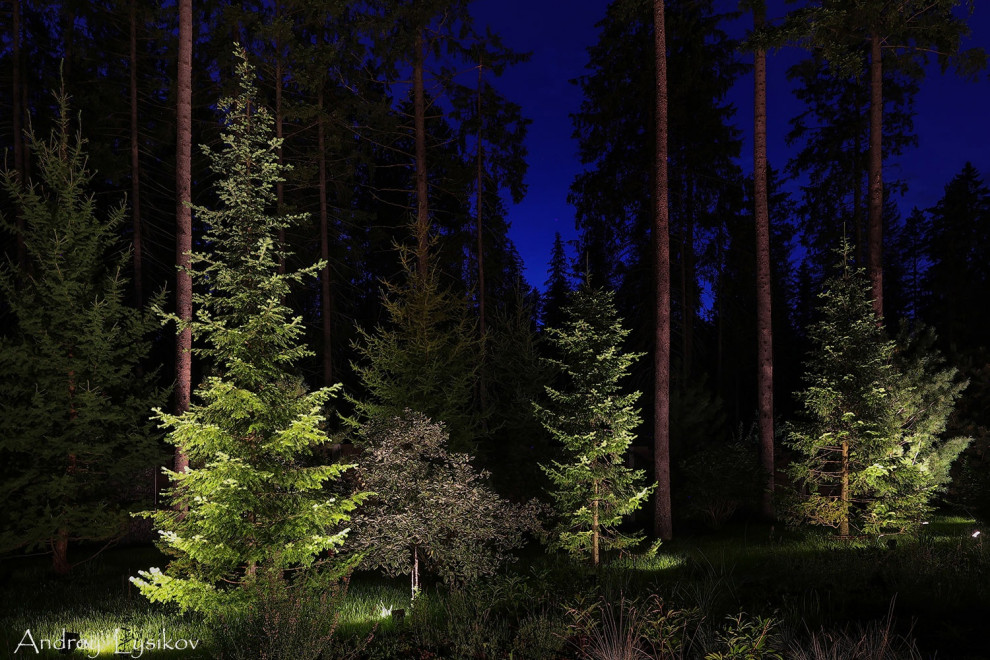 Ночная съемка ландшафтного освещения