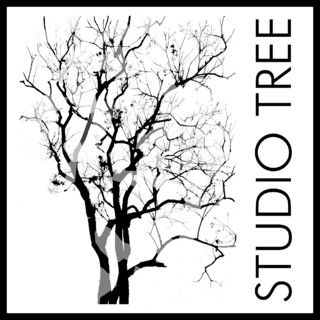 STUDIOTREE DESIGNS - Project Photos & Reviews - Belmopan, BZ BZ | Houzz