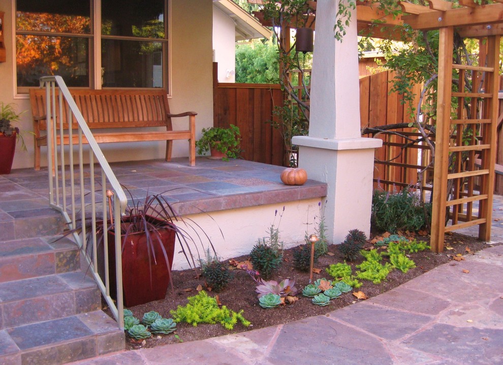 This is an example of a mediterranean front yard garden for fall in San Francisco.
