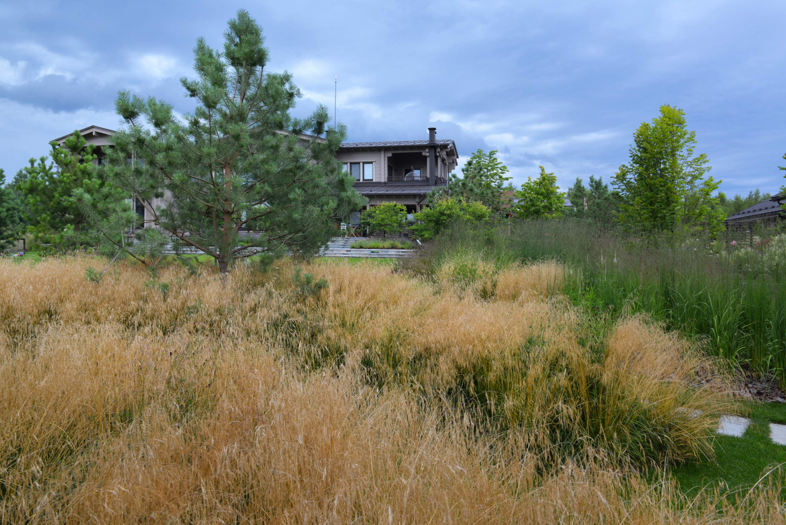 Злаковый сад