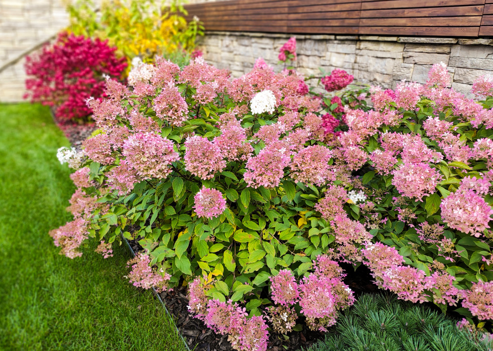 Лобаново, 2012-2021 гг.