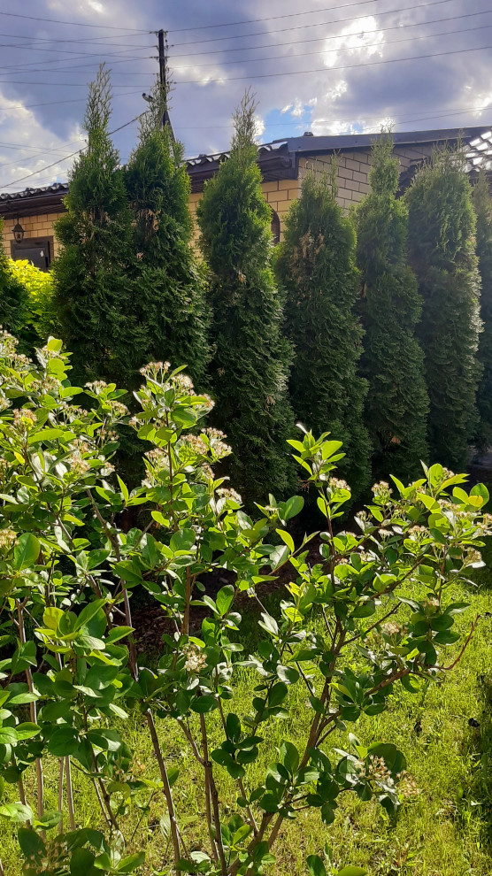 Андреевское озеро, 2017