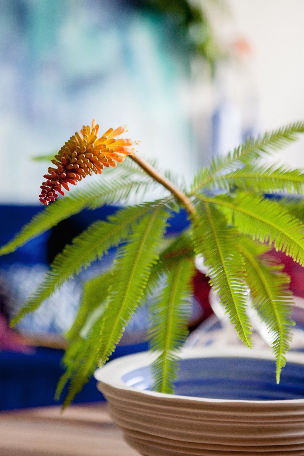 Тропическая гостиная