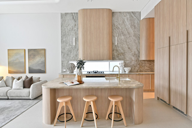 Project Frederick contemporary-kitchen