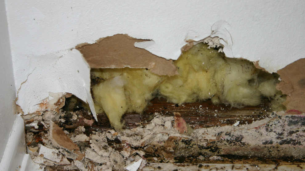 Repairing Rot and Water Damage