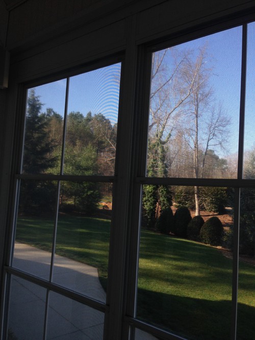 Discount Windows In Maple Valley Wa Weather