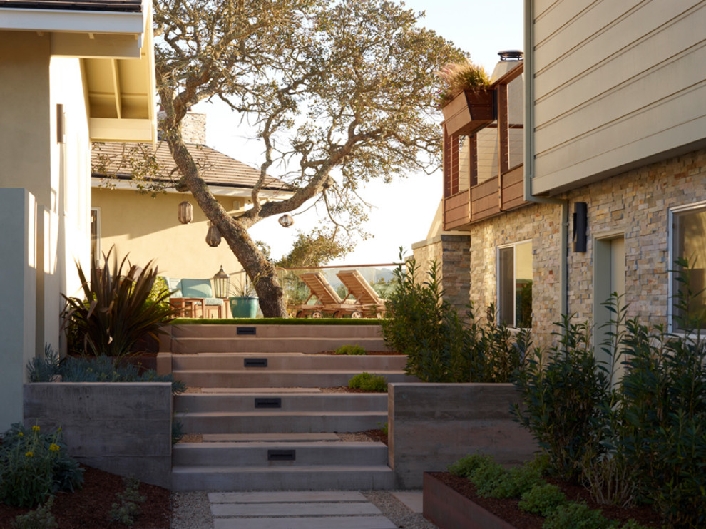 サンフランシスコにあるミッドセンチュリースタイルのおしゃれな住まいの写真