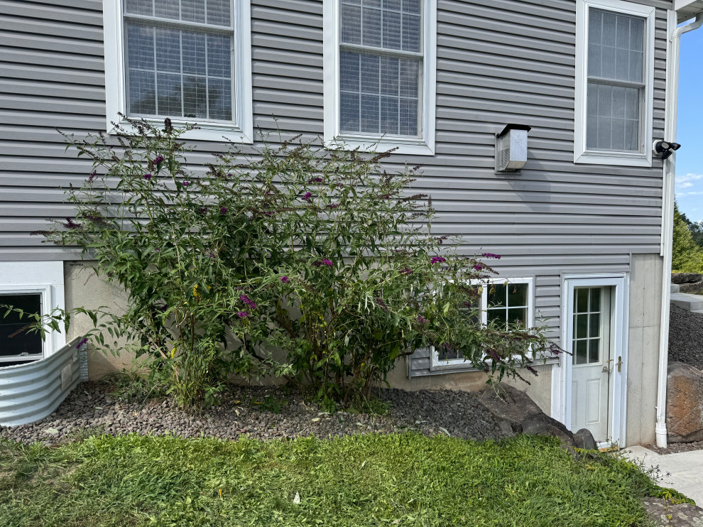 Pine Bush