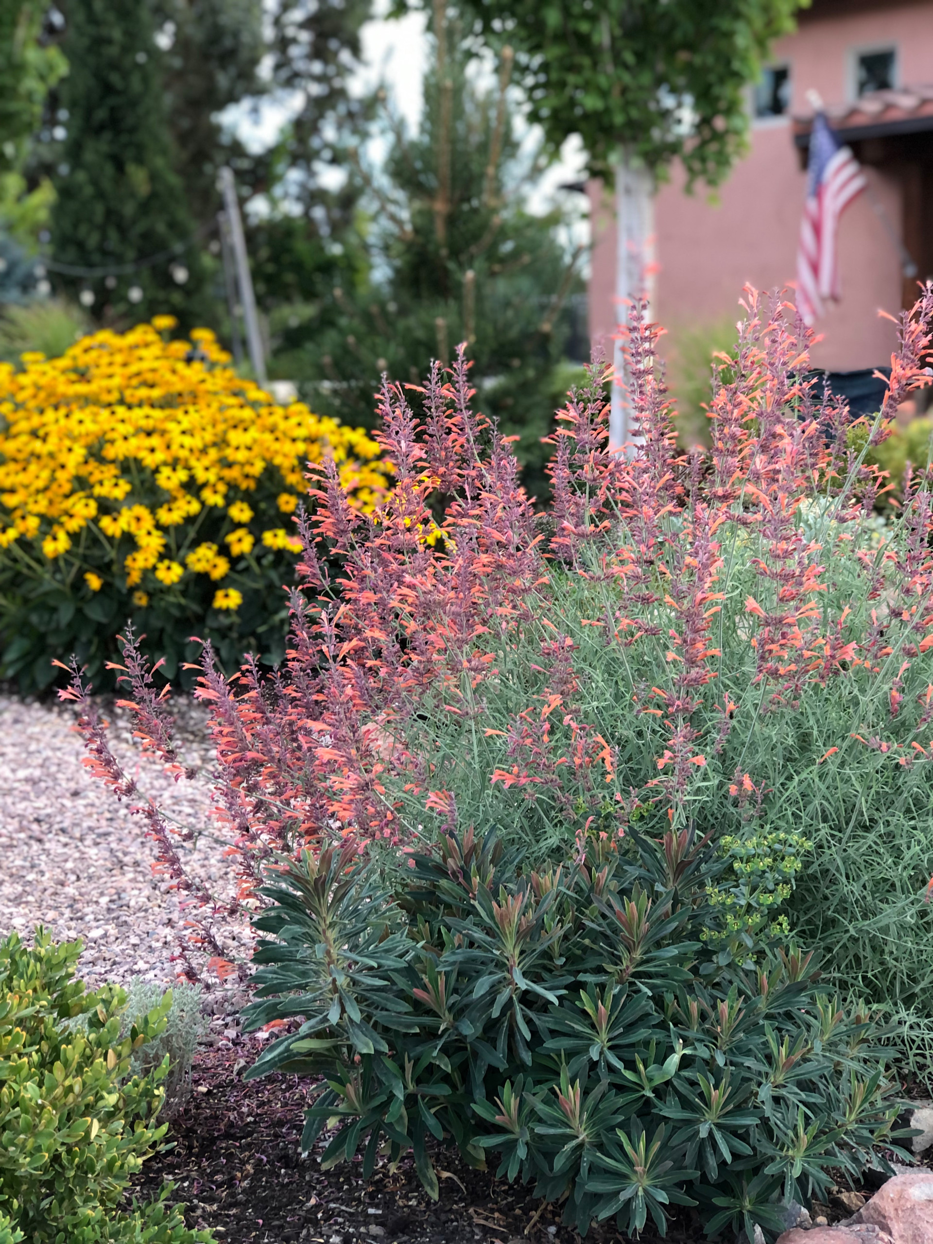 Santa Fe Xeriscape