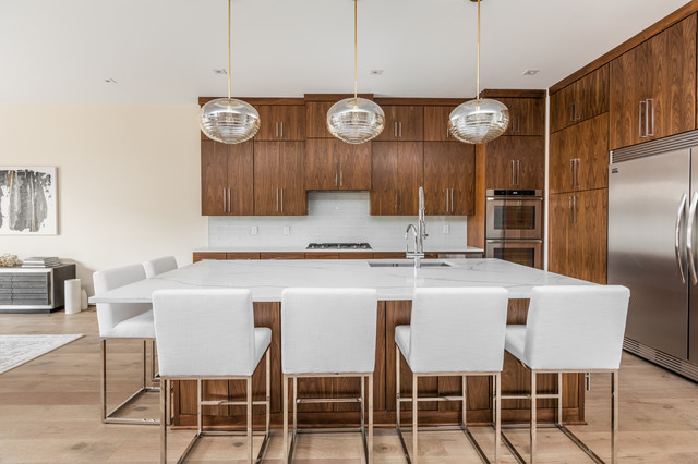 Penn Row Townhomes contemporary-koek