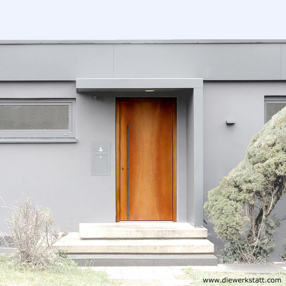 Пример оригинального дизайна: входная дверь среднего размера в стиле лофт с одностворчатой входной дверью и металлической входной дверью