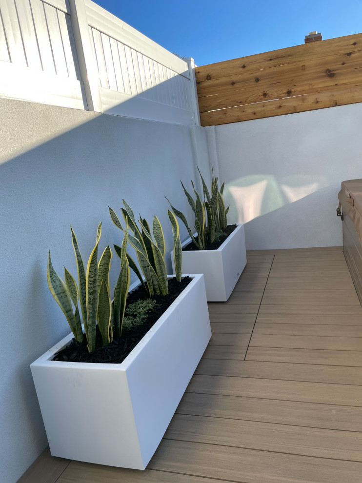 This is an example of a modern backyard xeriscape in Orange County with decking.