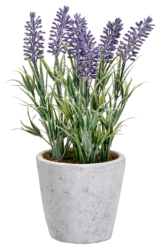 10" Lavender in Ceramic Pot Contemporary Artificial Flower