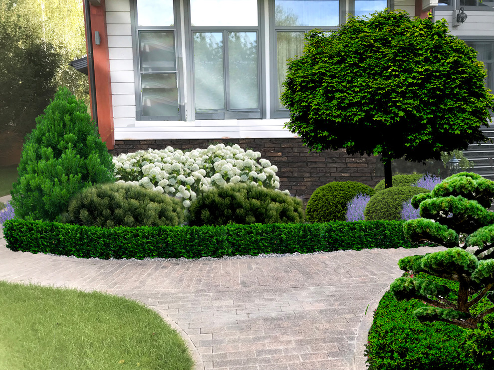 ПРОЕКТЫ 2019 НОВЫЙ СЕЗОН