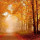 shaikh_amreen