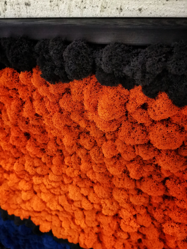 Расширяя горизонты