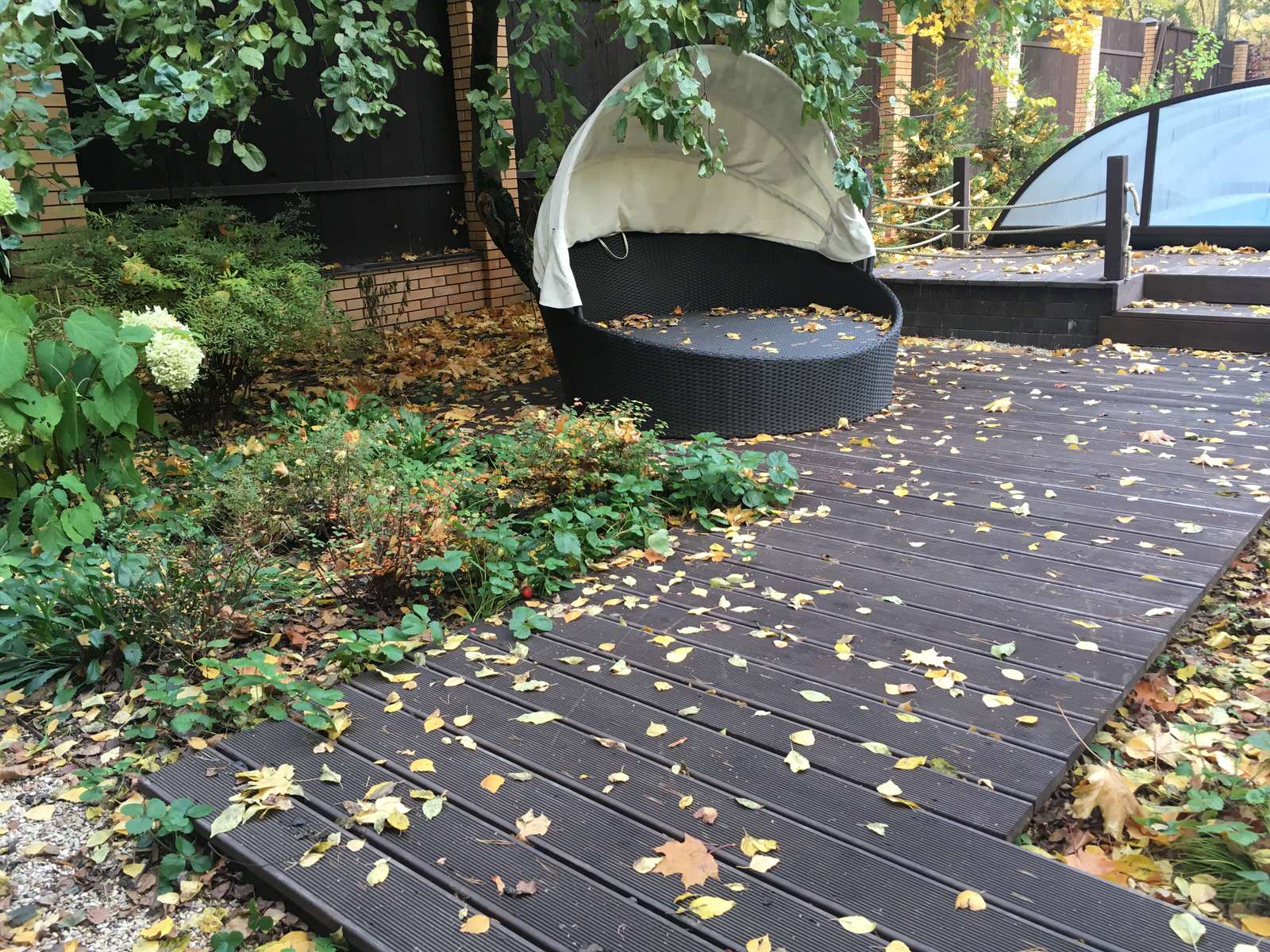 Белкин сад. Осень 2019