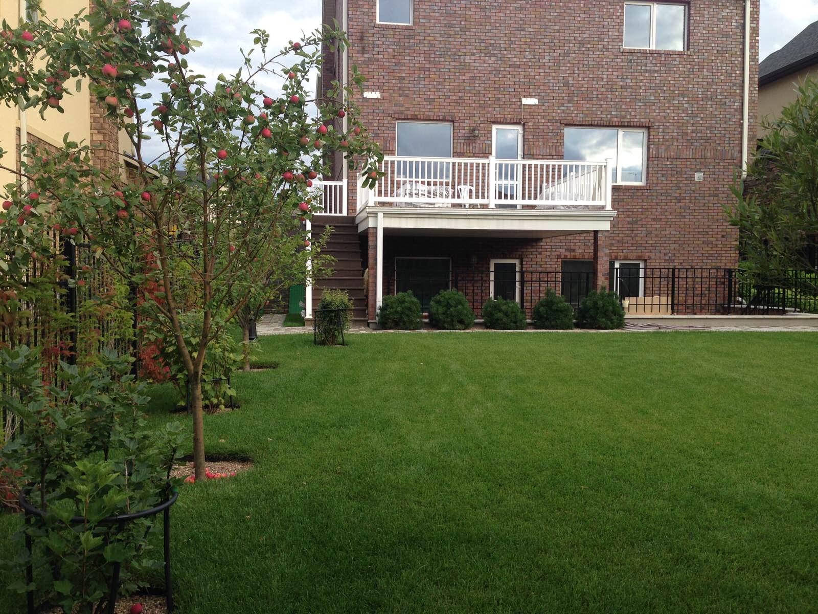 Новые Вешки (я)