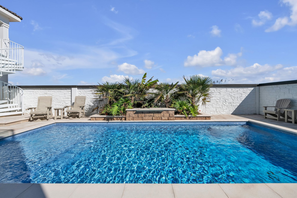 (2024) Shellabration