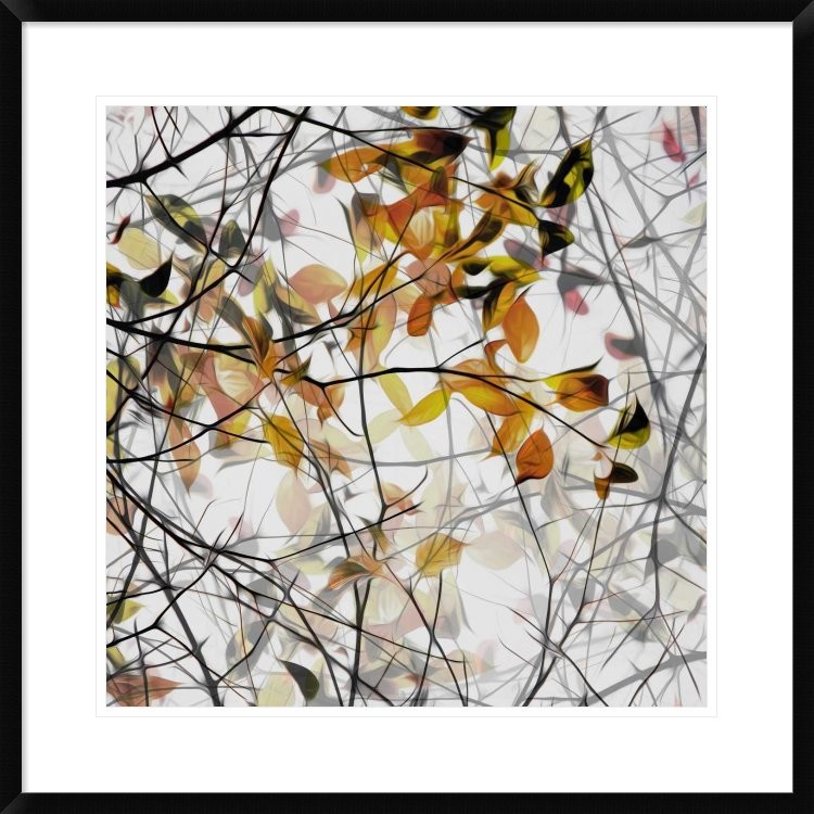 "Autumn Song" Framed Digital Print by Gilbert Claes, 30x30"