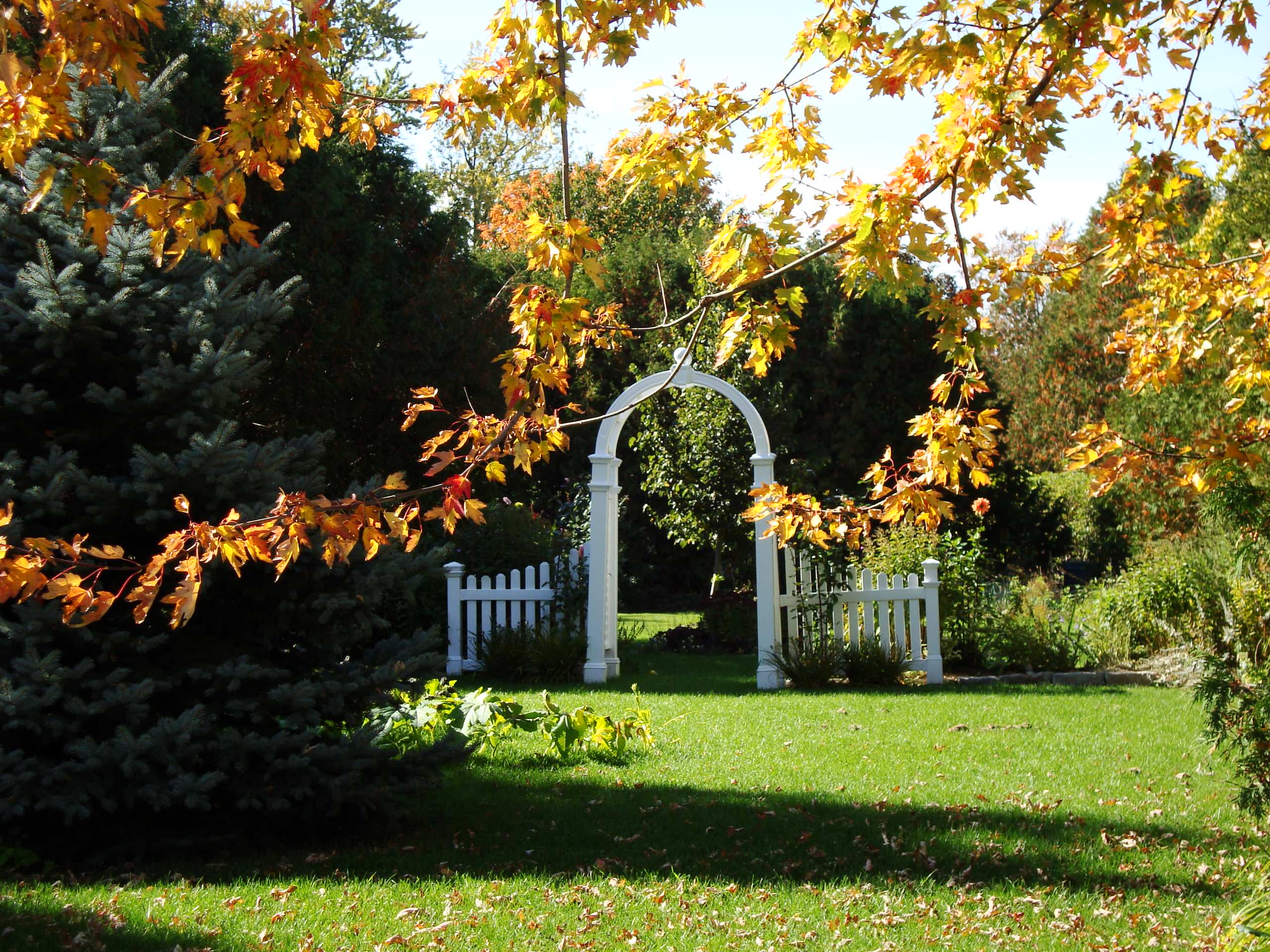 10 идей, что делать с опавшими осенью листьями | Дела огородные (paraskevat.ru)