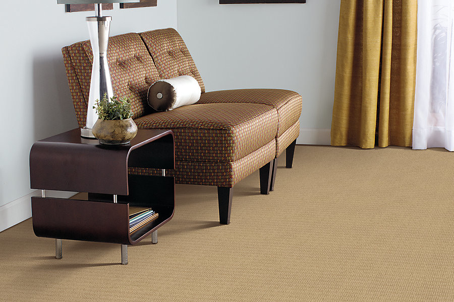 Carpet Traditional San Diego by Carpeteria Carpet One Houzz