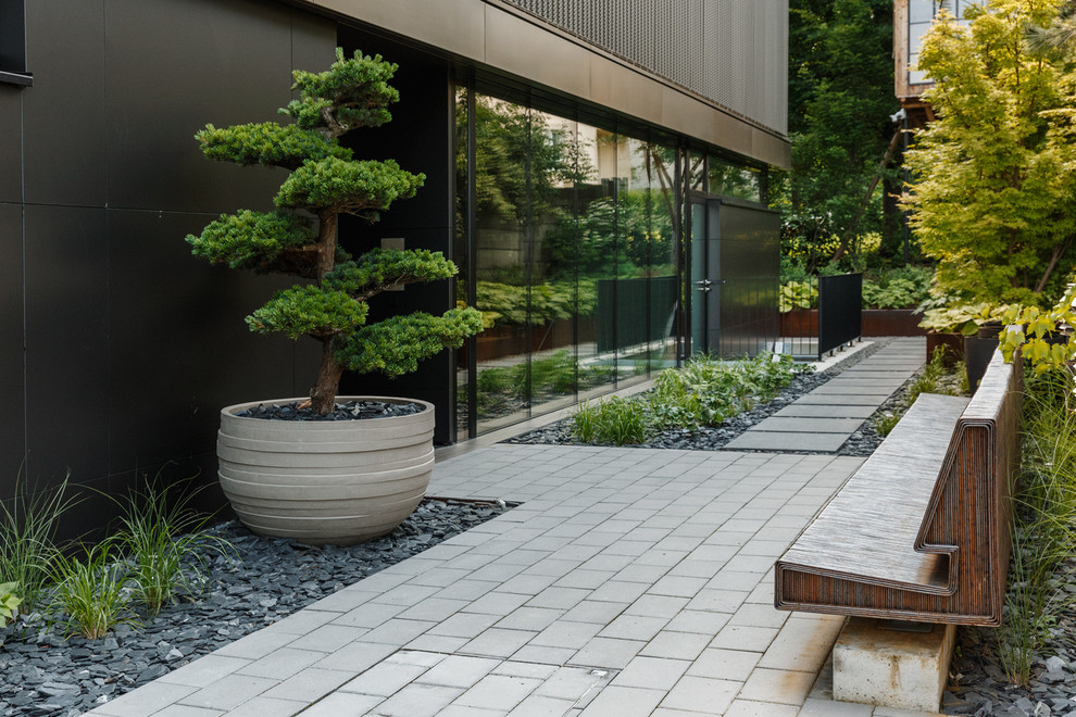 Terrasse neben dem Haus With Kübelpflanzen
