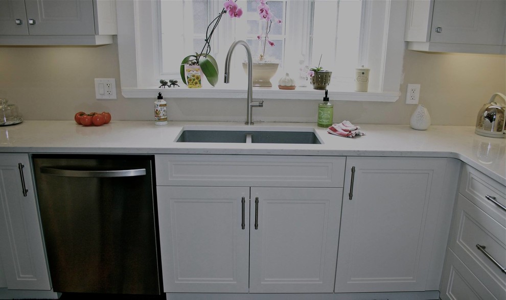 Kitchen - transitional kitchen idea in Toronto