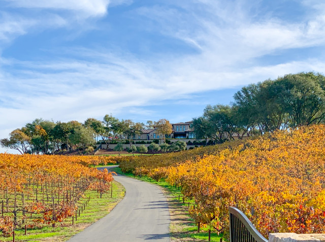 Vineyard Villa Mediterranean Garden Sacramento By House Of 