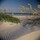 webuser_8190570