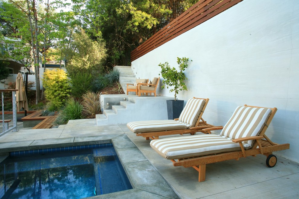 Terraced patio garden with pool Modern Pool Los Angeles by Elemental Construction Inc