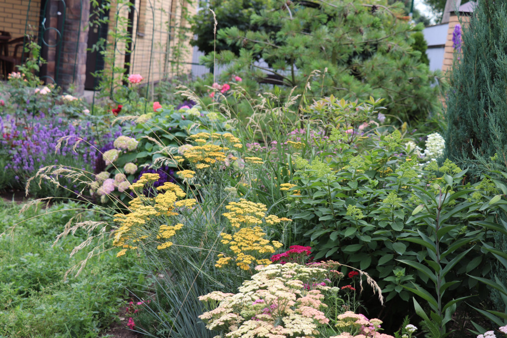 Цветущий сад