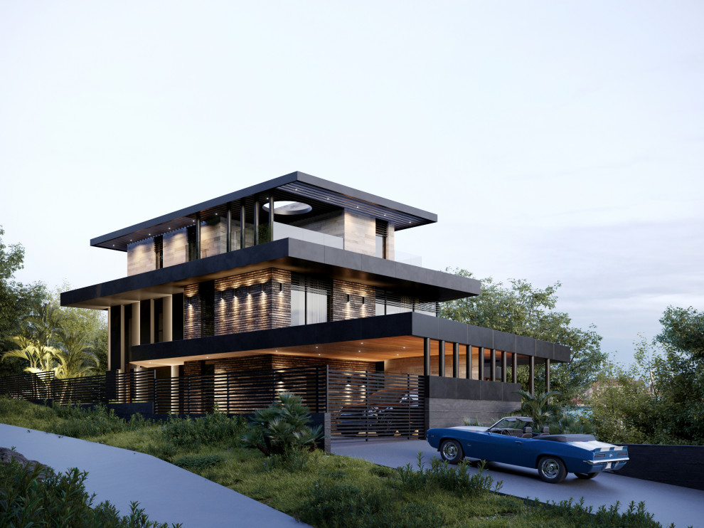 Темная Акация