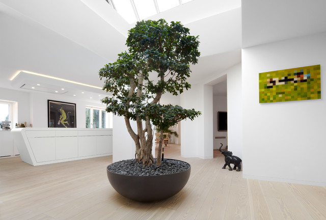 Eingangsbereich contemporary-living-room