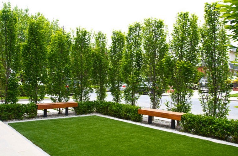 This is an example of a modern garden in New York.