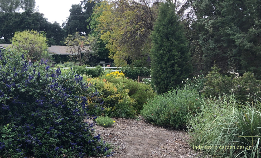 California native garden