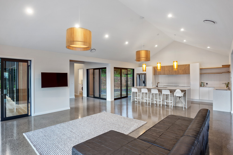 Immagine di un soggiorno minimalista di medie dimensioni e aperto con pavimento in cemento e TV a parete