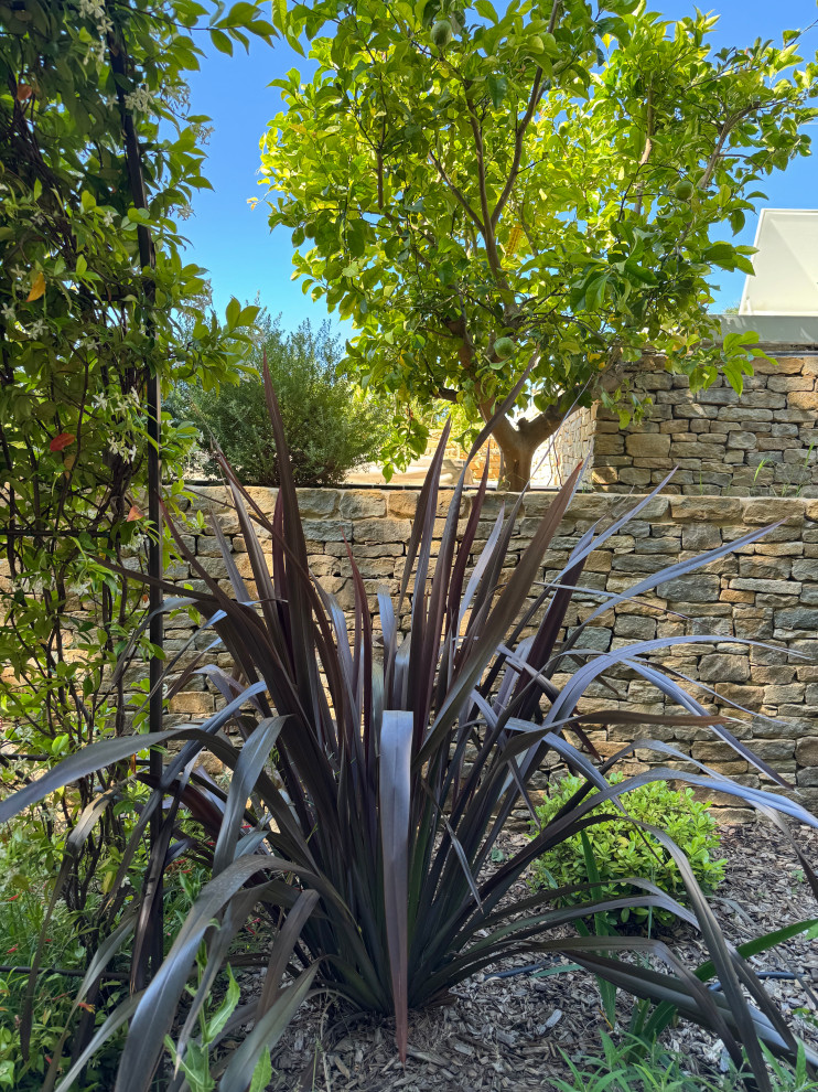 La Ciotat (Bouches du Rhône) - Jardin méditerranéen en restanques