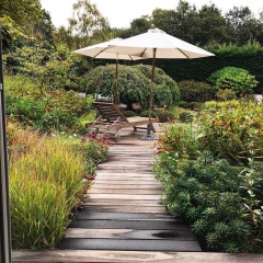 Yard of the Week: Plant-Filled, Spirit-Lifting Space for Relaxing