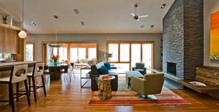 Organic Modern contemporary-living-room