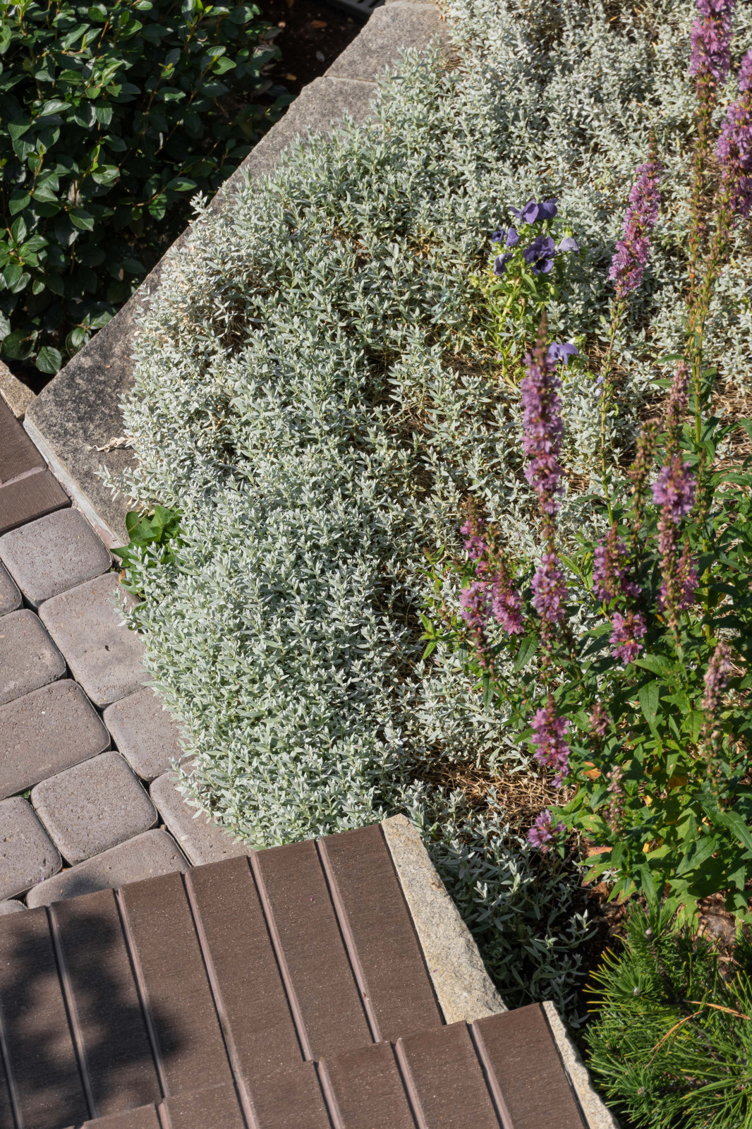 Сад на крутом склоне