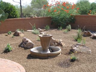 landscape backyard easy care desert simple southwestern phoenix architects designers