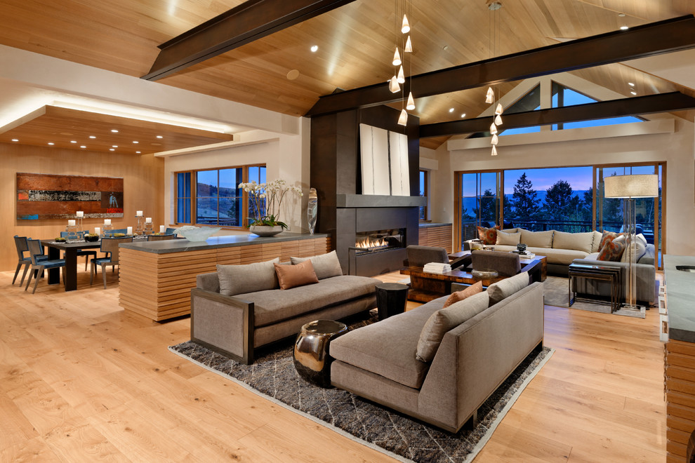 Modern living room in Denver with white walls, light hardwood floors, a standard fireplace, a metal fireplace surround and a concealed tv.