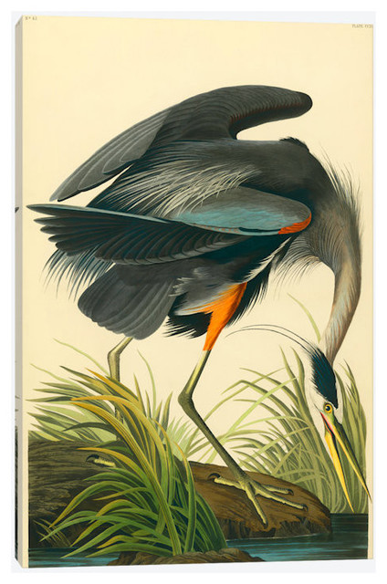 Great Blue Heron by John James Audubon Canvas Print, 18"x26"