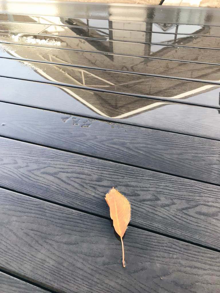 Террасная доска на придомовой территории