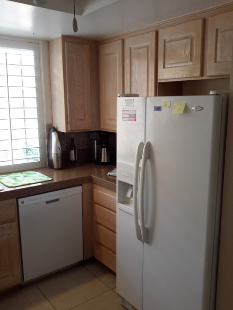 PINGEL PROJECT transitional