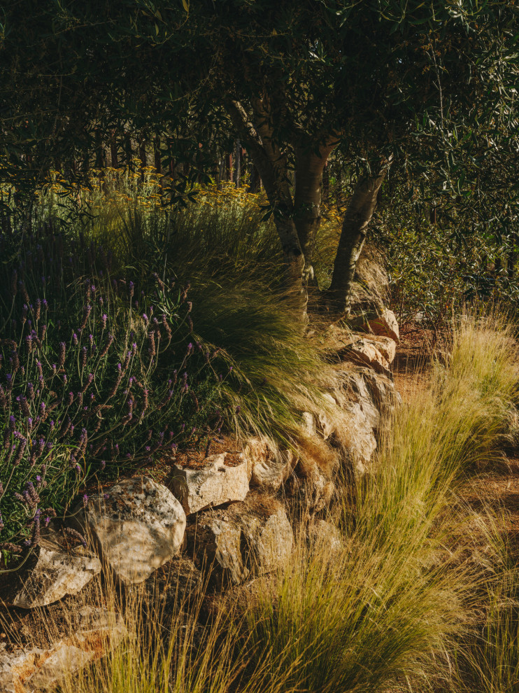 Inspiration pour un grand jardin méditerranéen l'été avec une exposition ensoleillée et un gravier de granite.