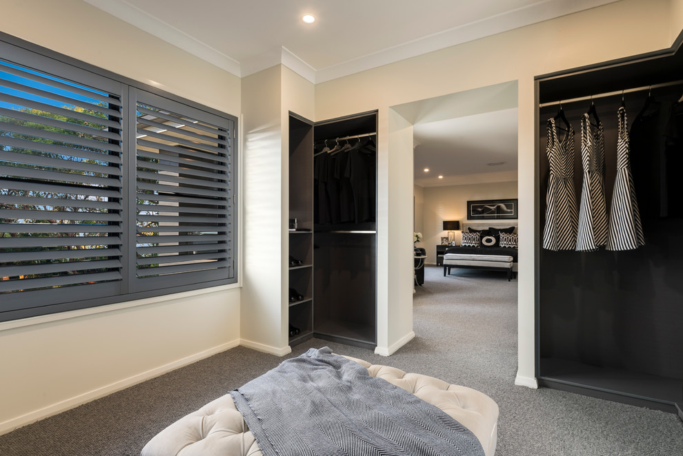 Design ideas for a large contemporary master bedroom in Brisbane with beige walls and carpet.